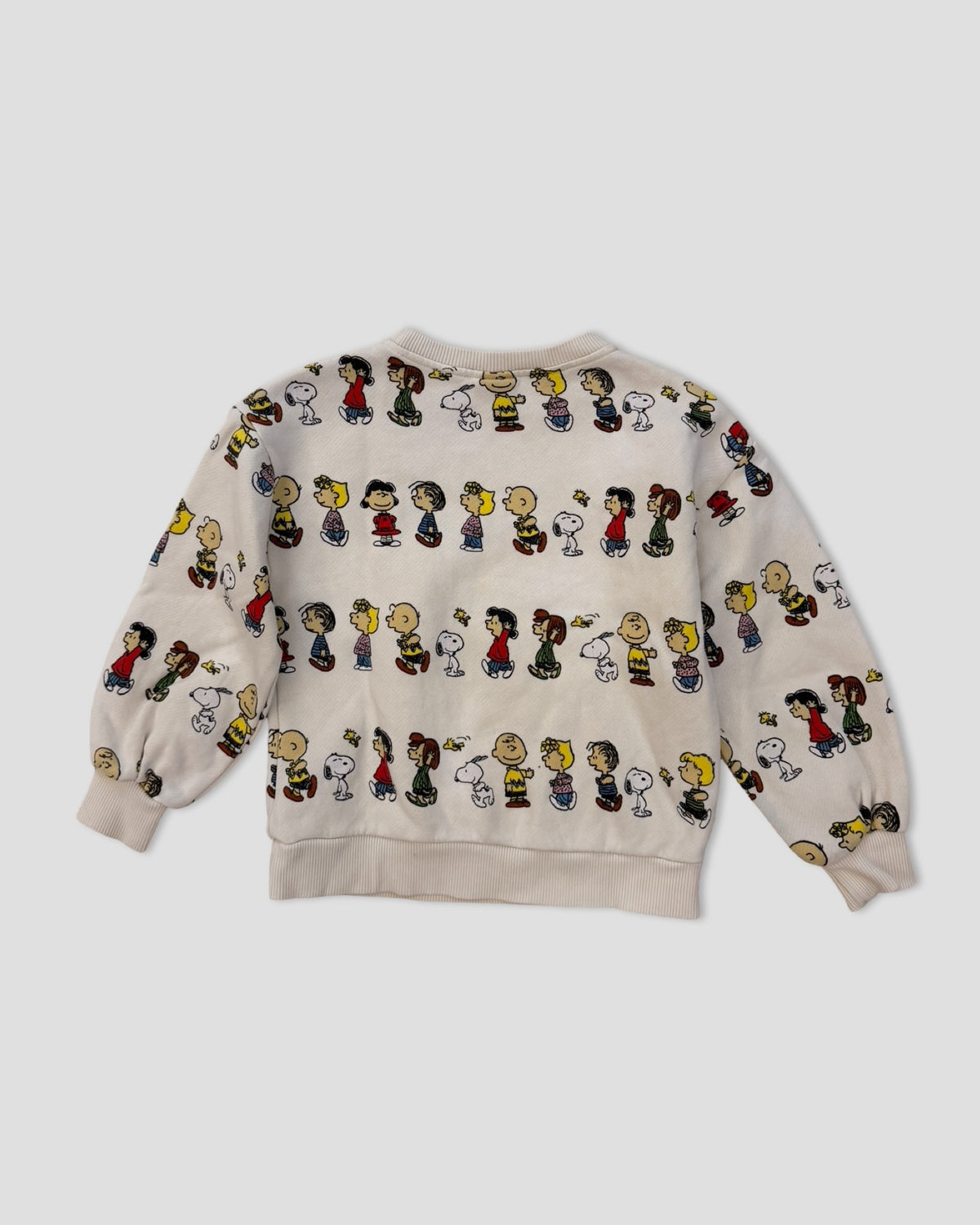 Zara x peanuts character lineup sweatshirt