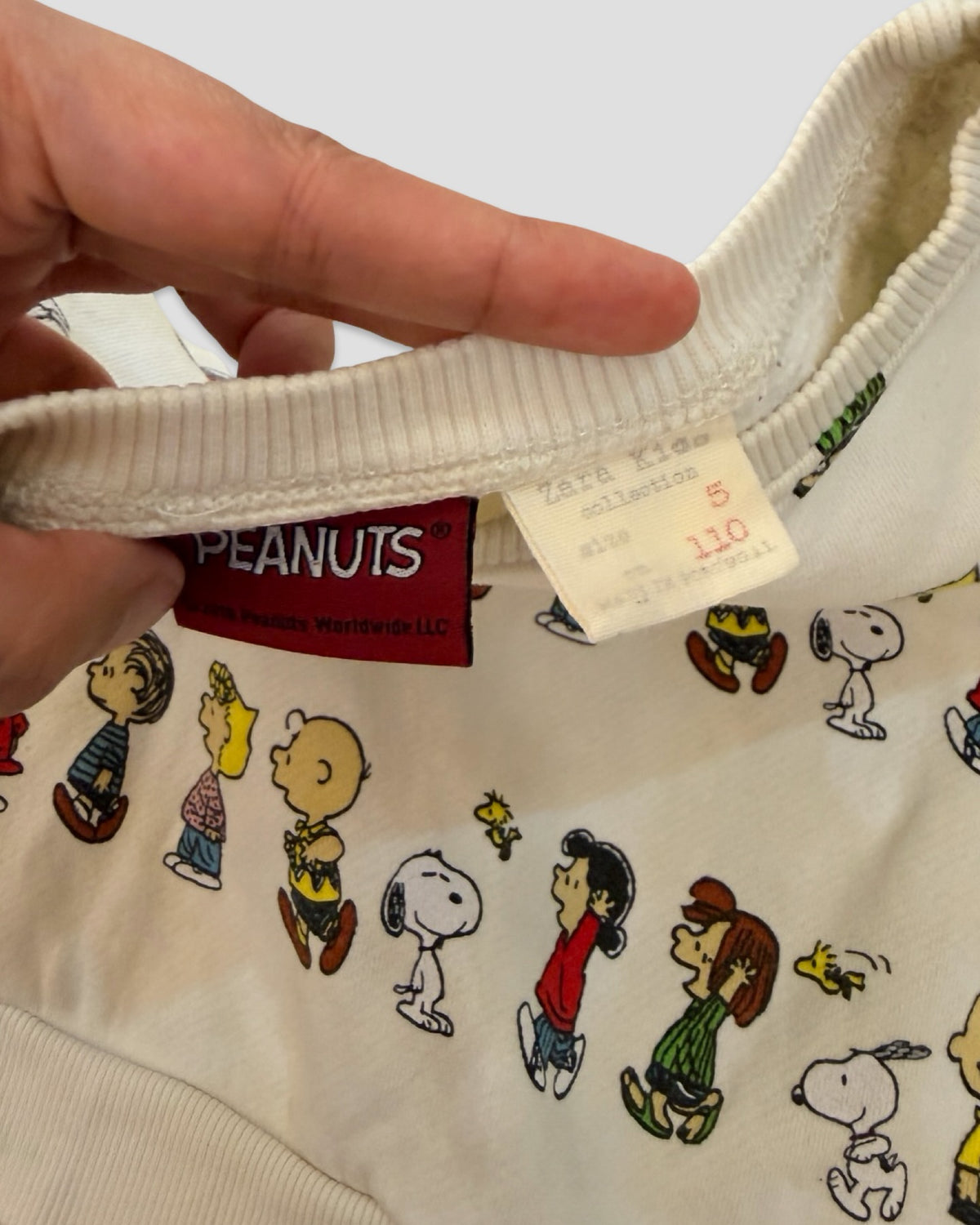Zara x peanuts character lineup sweatshirt
