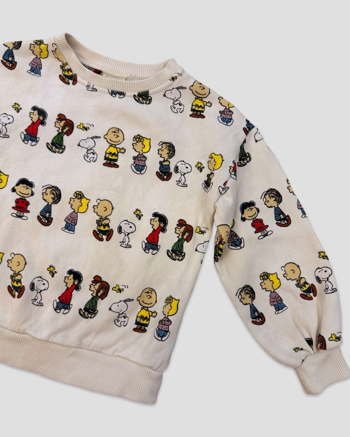 Zara x peanuts character lineup sweatshirt