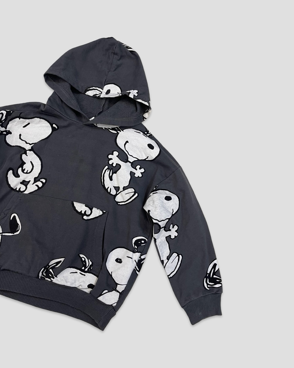 Snoopy all-over print hoodie