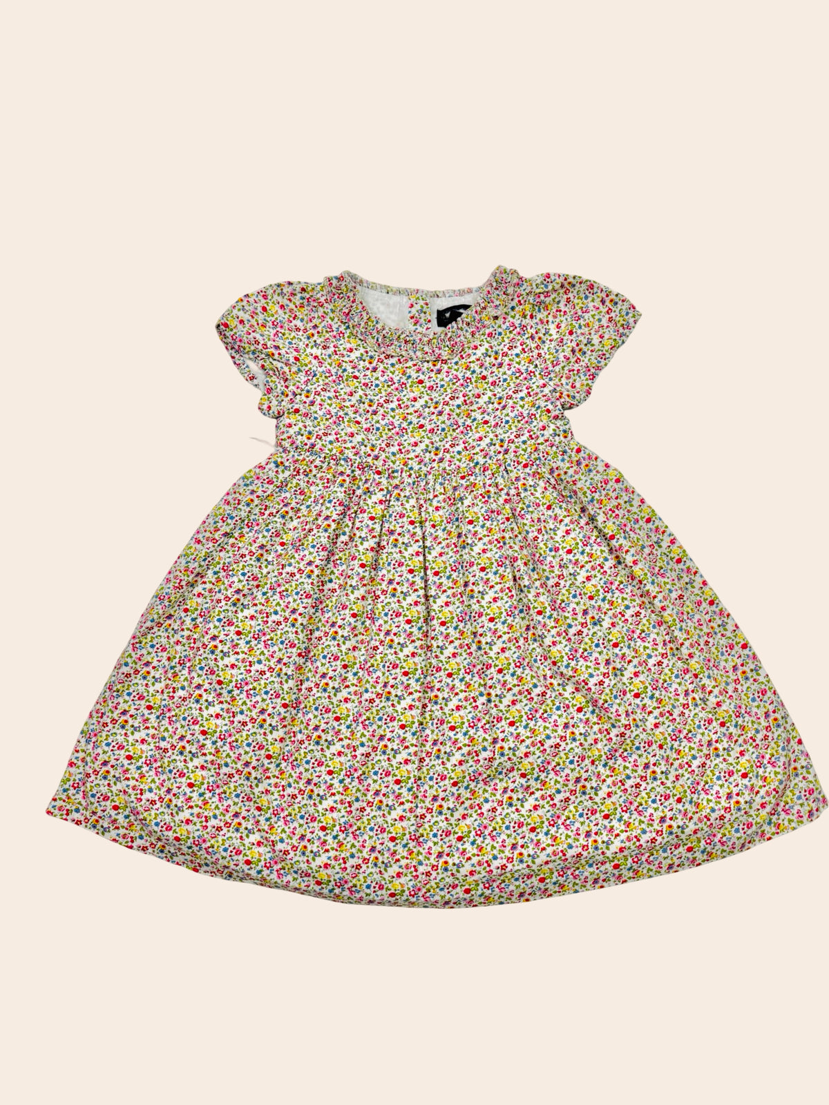 Ralph Lauren Mini Floral Fit & Flare Dress