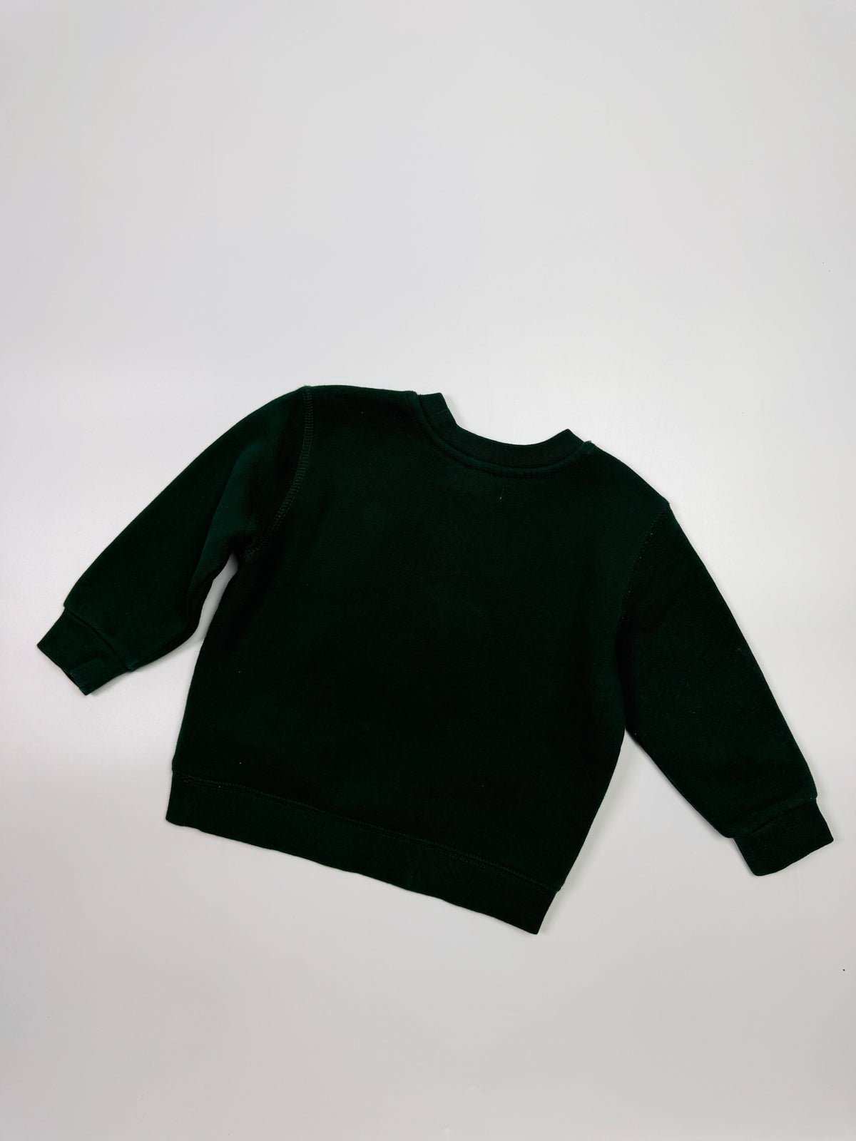 Polo Ralph Lauren Graphic Sweatshirt – Hunter Green
